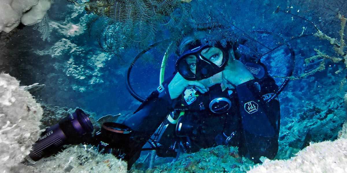 Дайвинг в Черном море с дайв-центром Барракудас